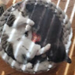 Meet your Posher, Oxana